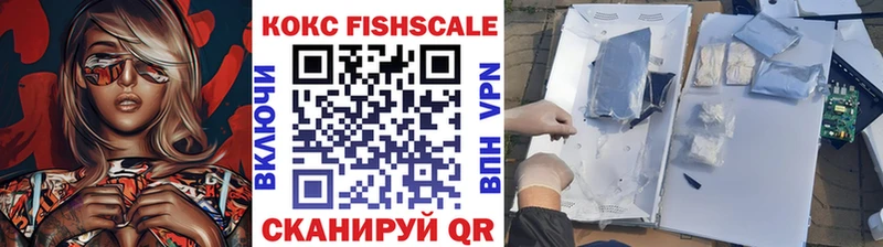 COCAIN Fish Scale  Купить закладки  Серафимович 