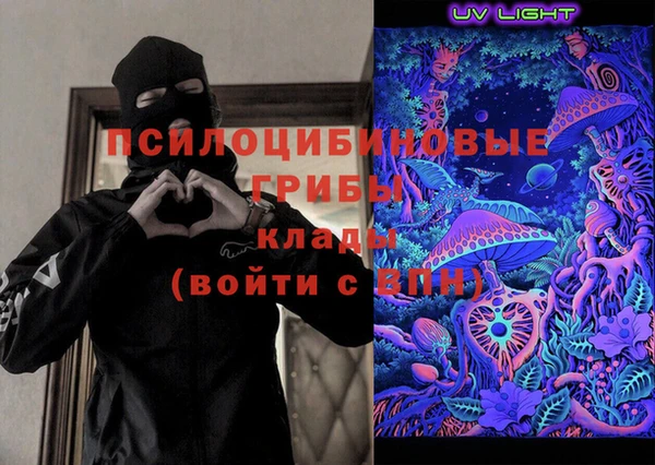 хмурый Белокуриха