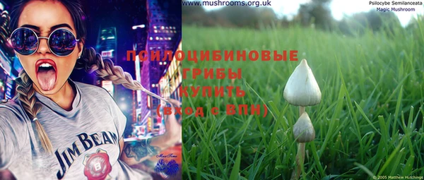 хмурый Белокуриха