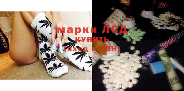 хмурый Белокуриха