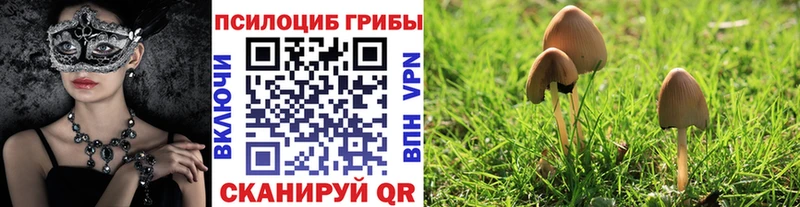 Галлюциногенные грибы Magic Shrooms  Купить закладки  Серафимович 