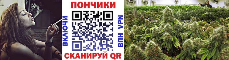 Конопля AK-47  Купить закладки  Серафимович 